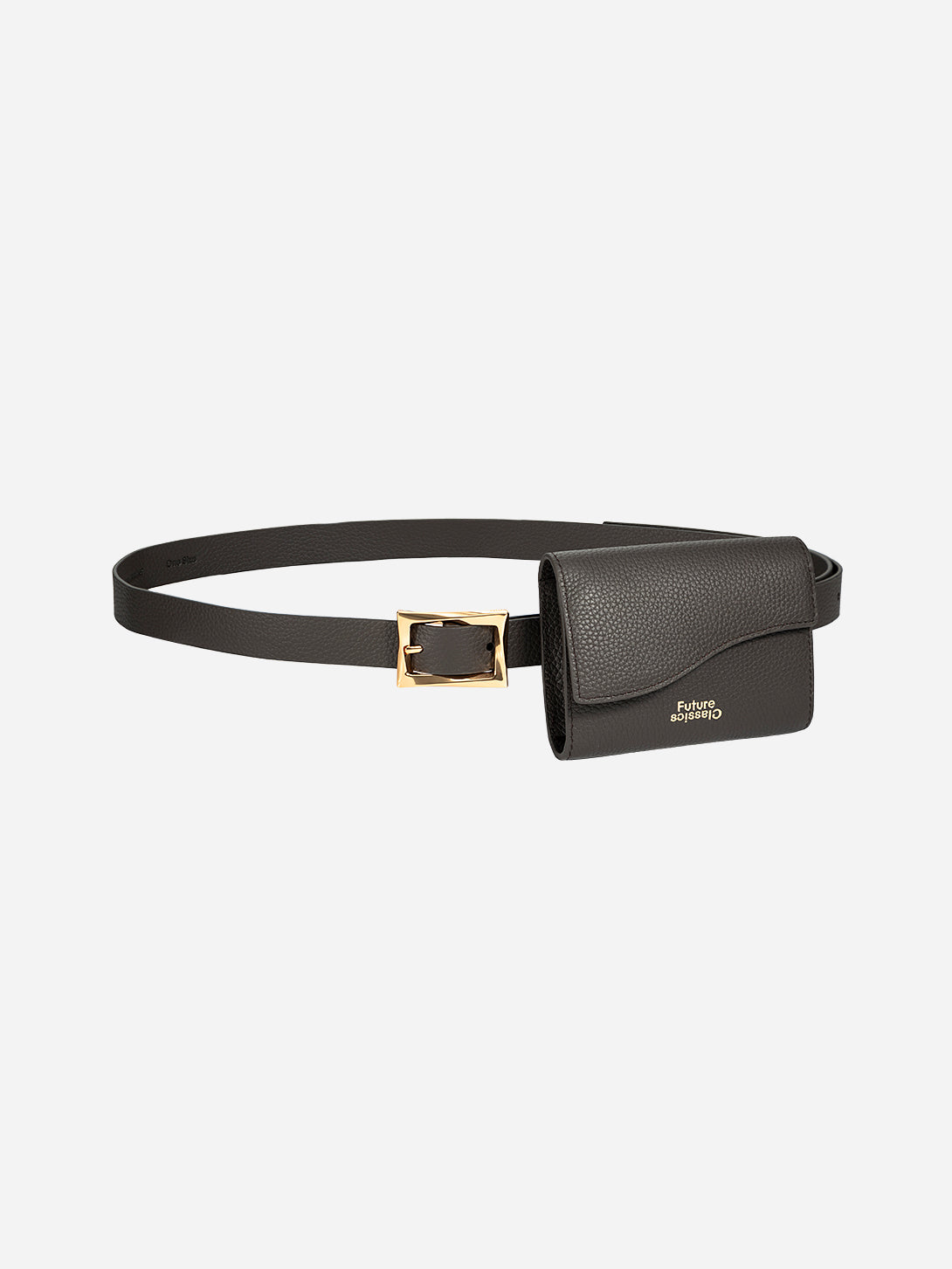 Pocket Belt